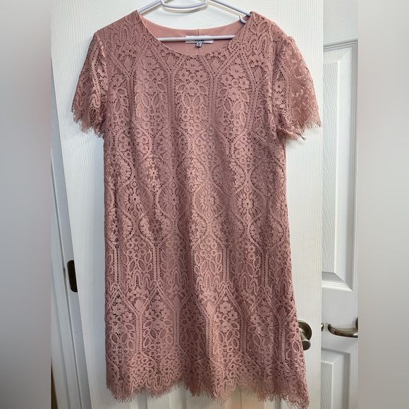 Verte Pink Lace Shift Dress - Medium - Picture 1 of 4